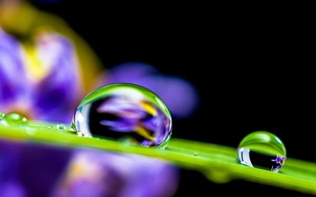 Comment vendre des abonnements avec WordPress et booster vos revenus avec le content dripping