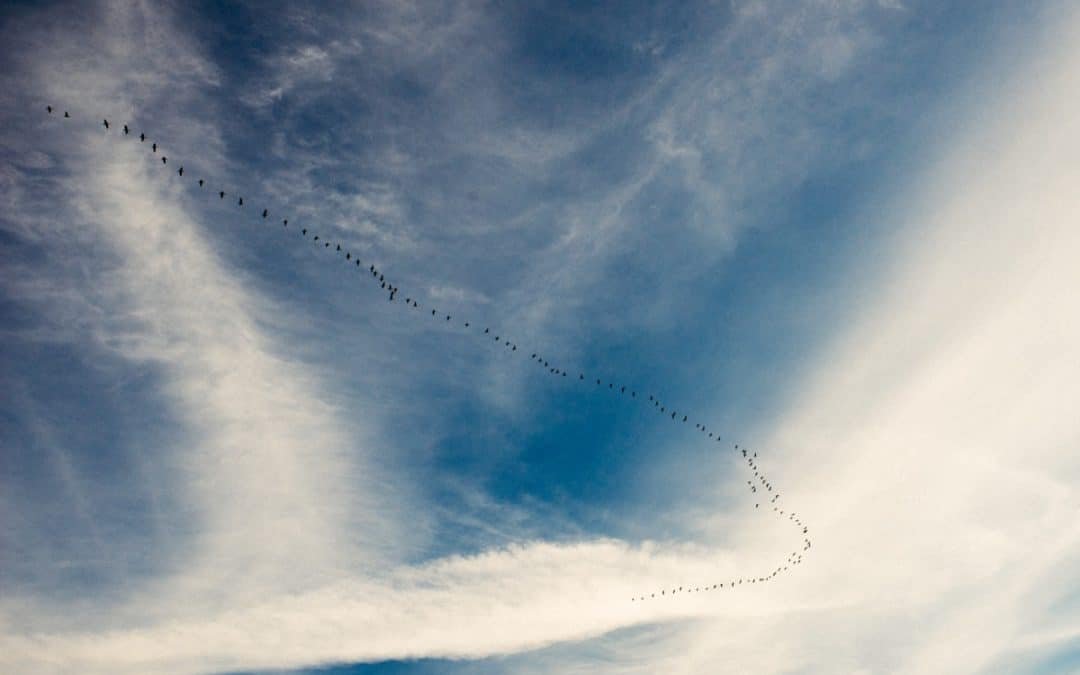 Comment migrer un site WordPress et rediriger son trafic de façon permanente