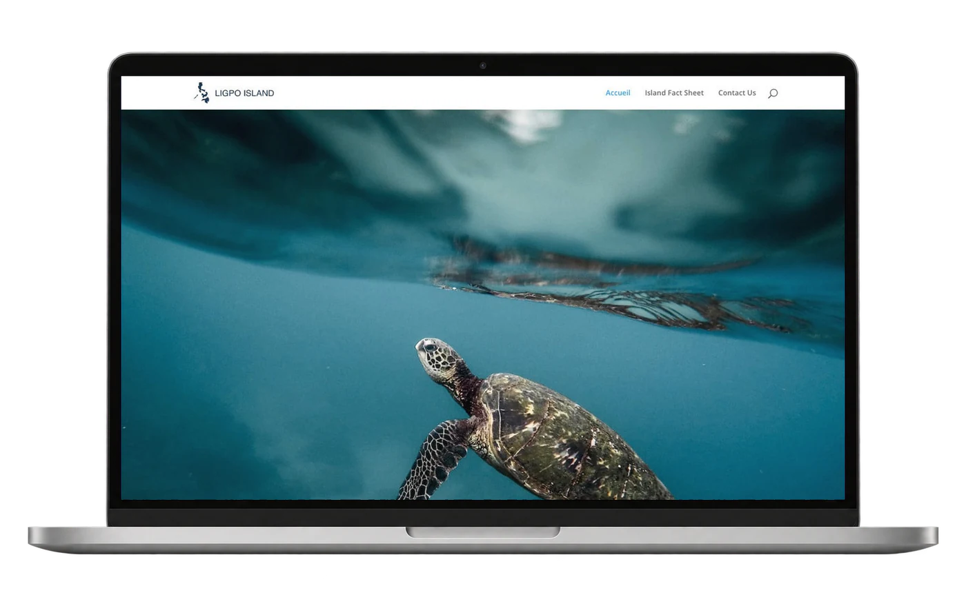Site internet LigpoIsland.com sur ordinateur portable