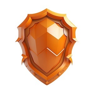 Protection e-commerce